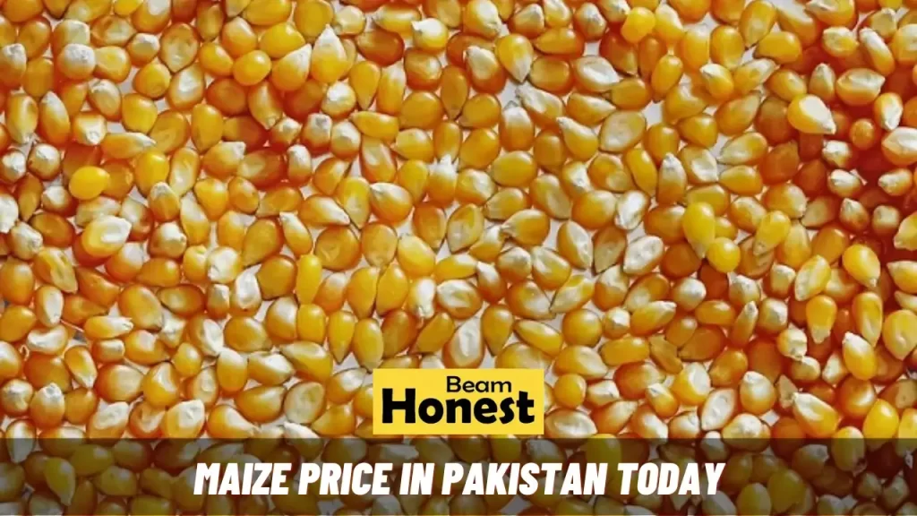 Maize Price in Pakistan Today Corn Makai