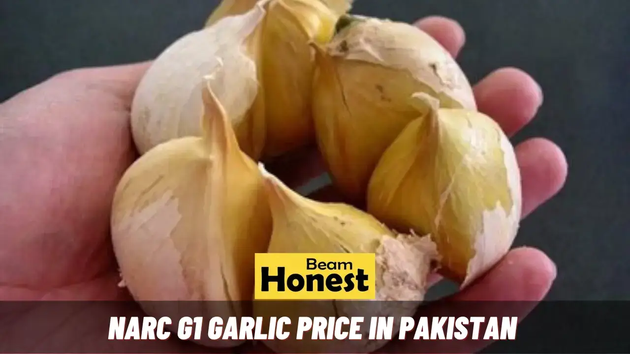 NARC G1 Garlic Price in Pakistan
