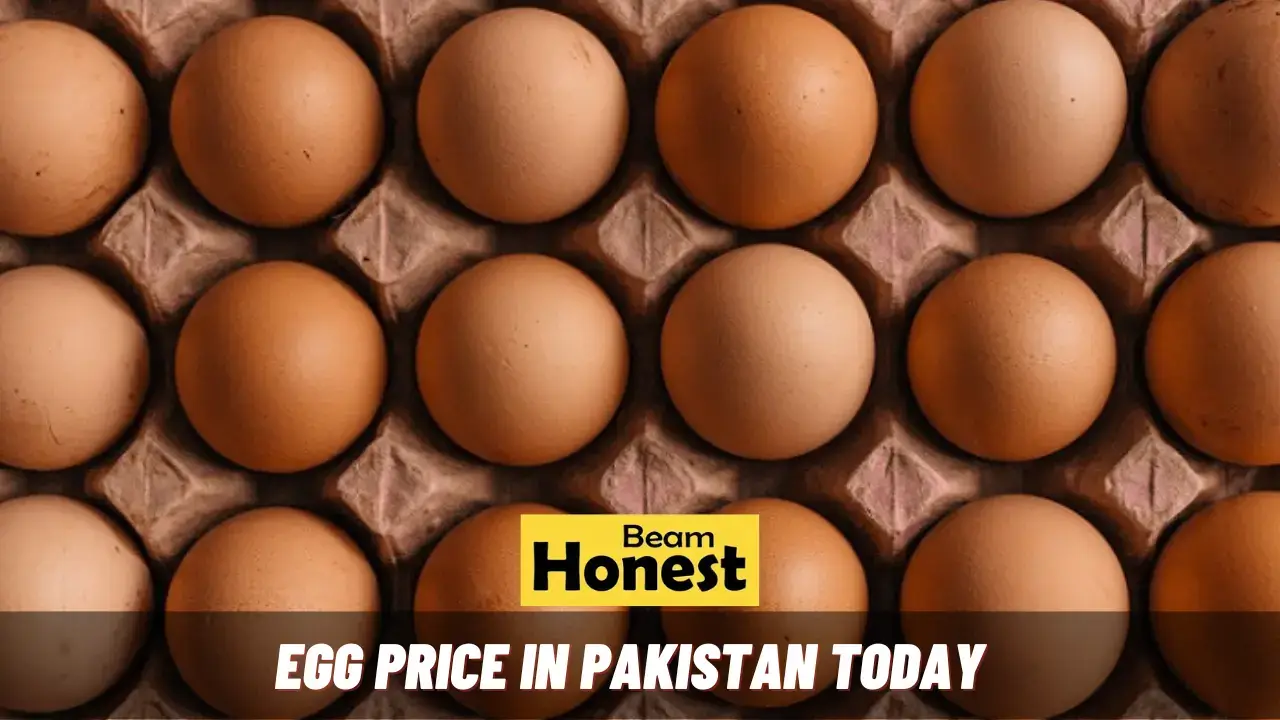 Egg Price In Pakistan Today