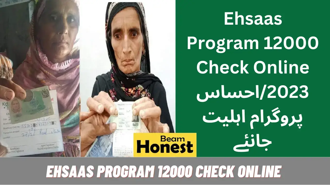 Ehsaas Program 12000 Check Online