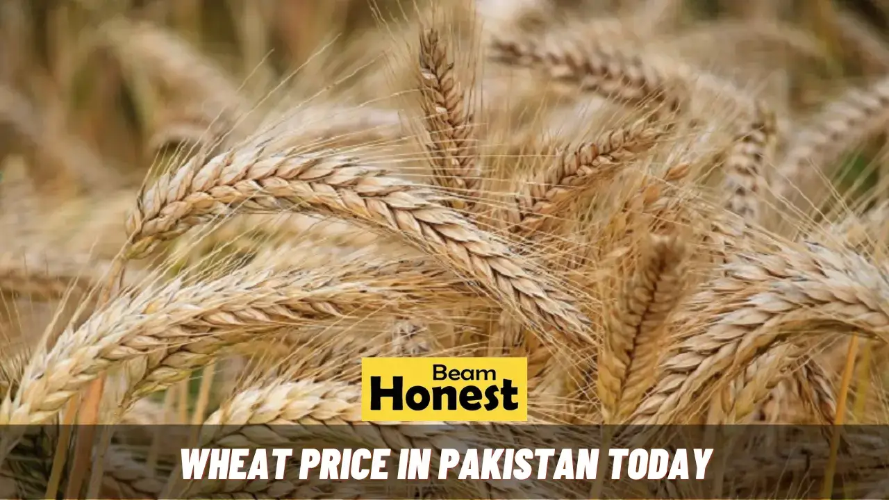 Wheat Price in Pakistan Today