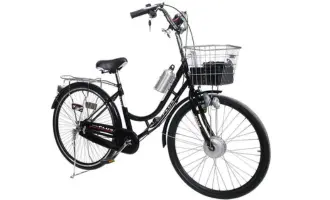 Pakzon PEC-LS Ladies Electric Bicycle 2023